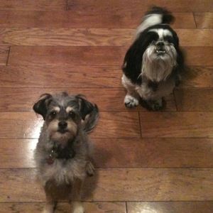 Meet your Posher, Aimee